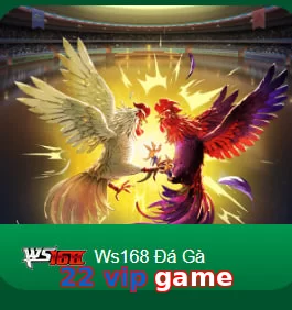 22 vip game
